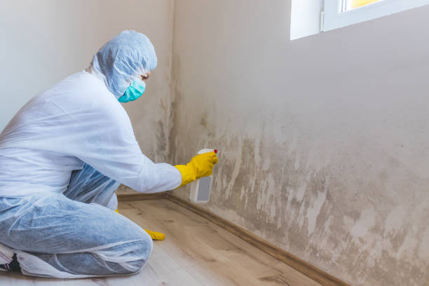 Licensed Hvac And Air Duct Mold Remediation service in Bristow, VA - 24 Hour Mold Removal
